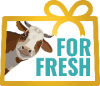 Logo Forfresh